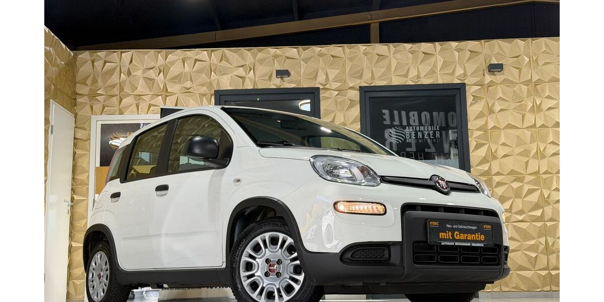 Fiat Panda 9.314 km 11.499 &euro; Wirges 56422