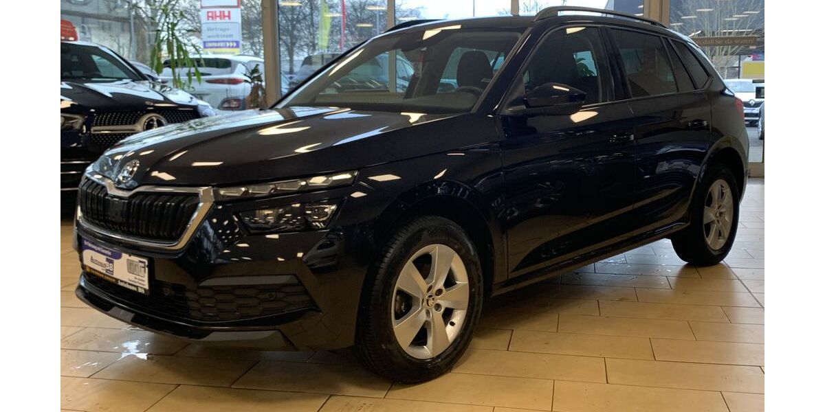 Skoda Kamiq 129.570 km 16.450 &euro; Hennef 53773