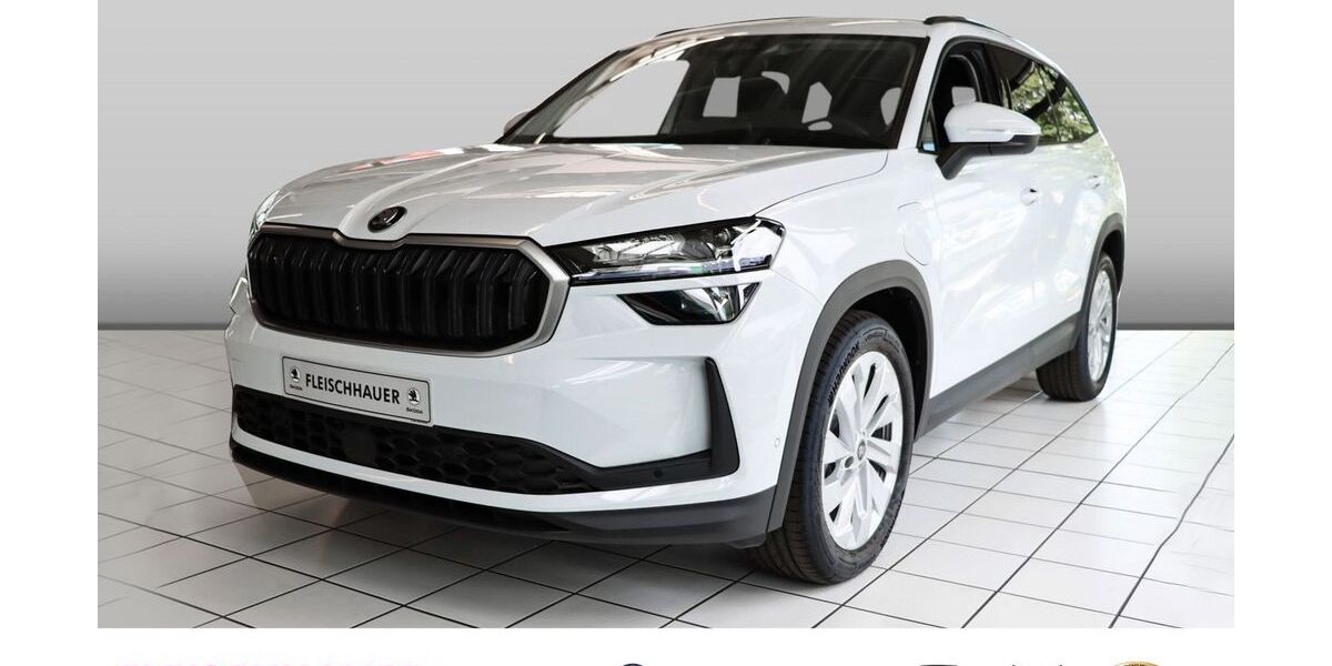 Skoda Kodiaq 14.500 km 45.980 &euro; Bonn 53119