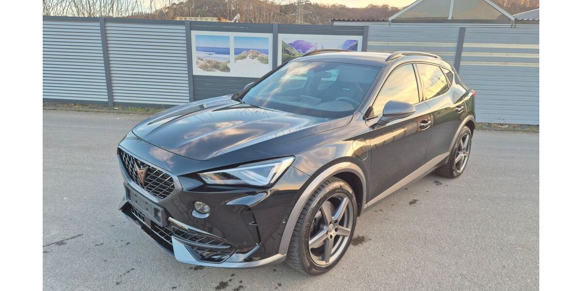 Cupra Formentor 38.260 km 24.999 &euro; Bornheim 53332