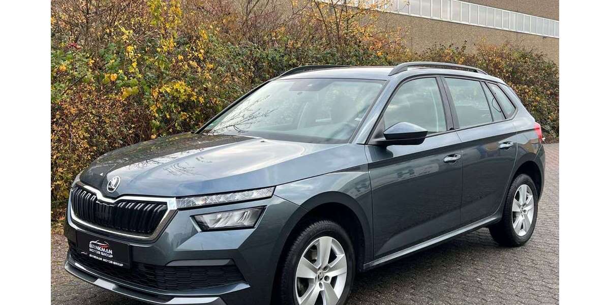 Skoda Kamiq 79.177 km 14.595 &euro; Weilerswist 53919