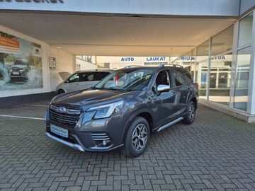 Gebrauchte Subaru Forester