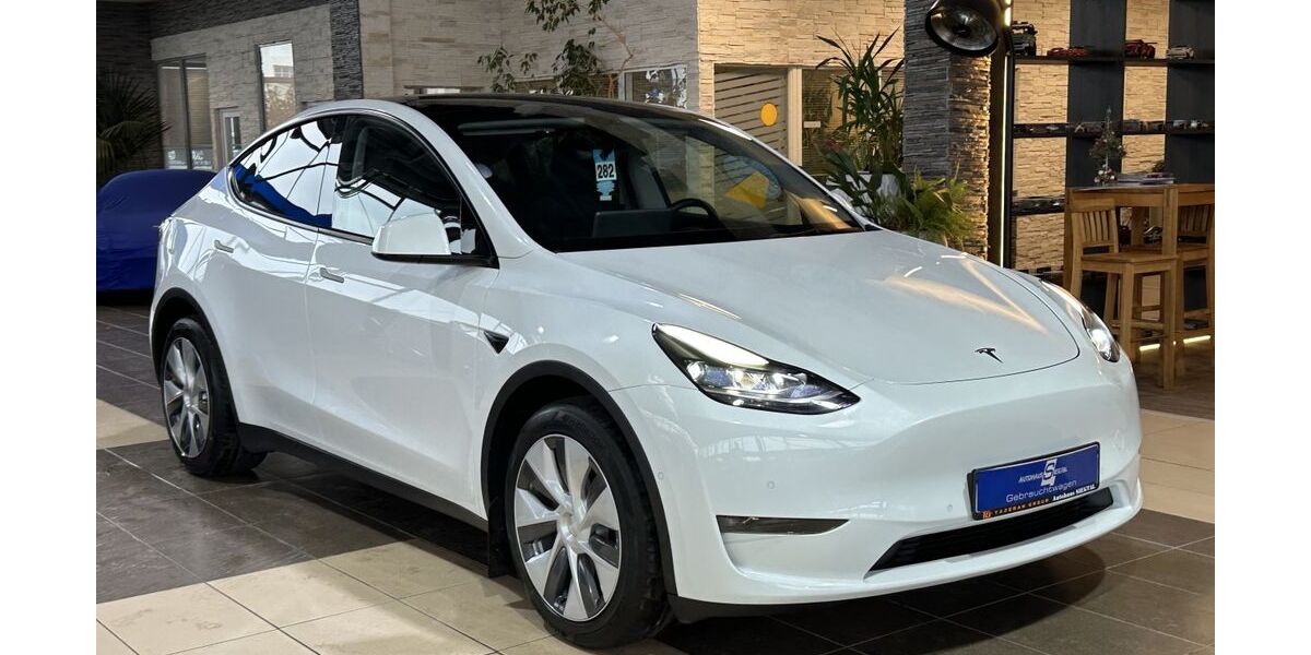 Tesla Model Y 54.820 km 33.000 &euro; Eitorf 53783