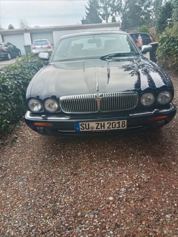 Gebrauchte Jaguar Daimler