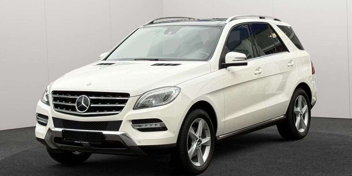 Mercedes-Benz ML 250 186.800 km 19.990 &euro; Bergisch Gladbach 51429