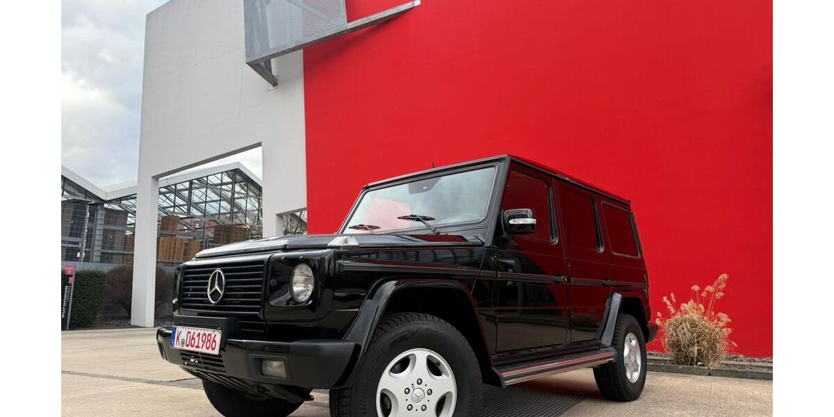 Mercedes-Benz G 270 299.000 km 28.900 &euro; Köln 50939