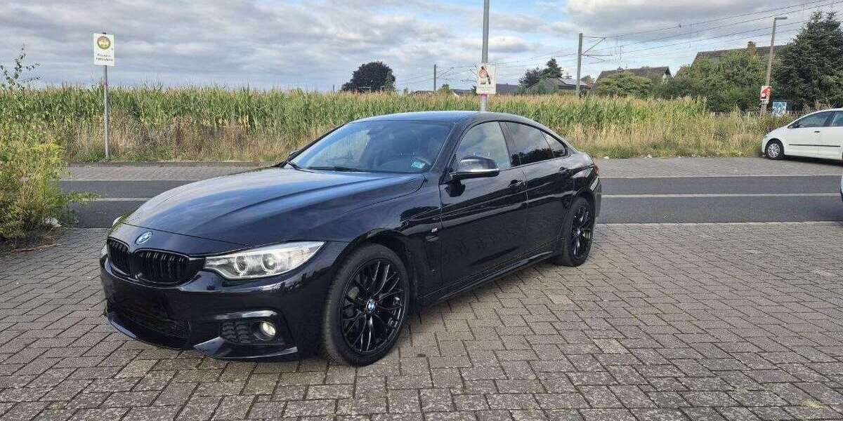 BMW 420 199.000 km 16.500 &euro; Bonn 53229
